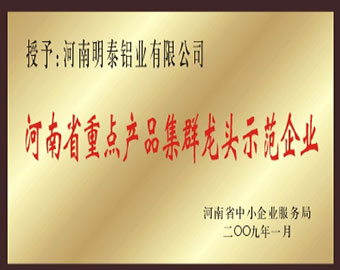 河南省重點產(chǎn)品集群龍頭示范企業(yè)